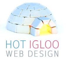 Hot Igloo web design Sedgley and Gornal United Women sponsor